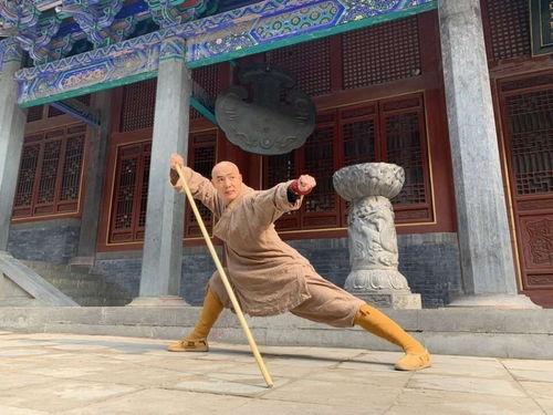 少林寺新住持：16岁出家的传奇人生