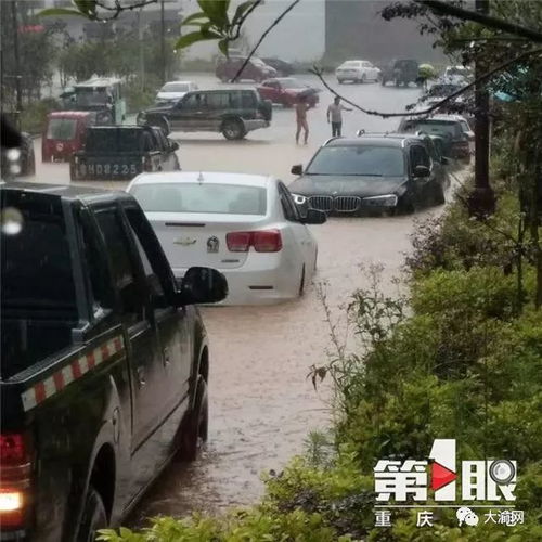京津冀暴雨互助：风雨同舟，守望相助！