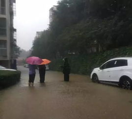 北京密云暴雨致洪灾，救援行动刻不容缓！