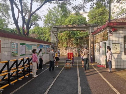 反转！武大诬女竟偷拍男厕，真相令人震惊