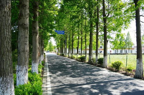 暖阳下沸腾的青春岁月