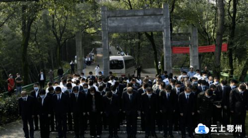 聚焦二十届四中全会，看中国式现代化新进程