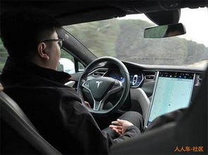 特斯拉自动驾驶场景图