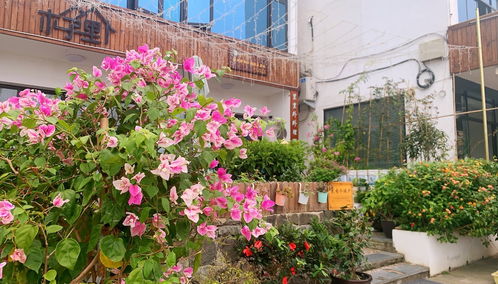 一家四口住民宿被误解，商家道歉背后的故事