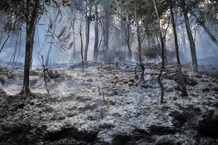 日本多地因干旱土地干裂