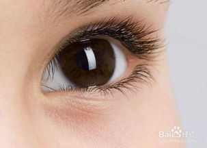 明亮有神的眼睛