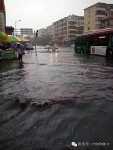 河北紧急转移安置4.4万人背后的故事