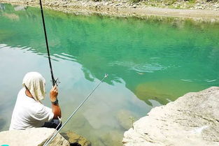 海钓的魅力：一场与大海的激烈对决
