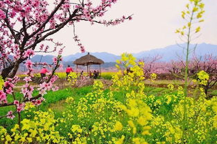 西藏之旅：见证万千气象下的独特魅力