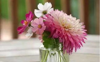 花束车上的花朵