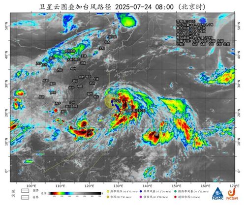 台风竹节草二次登陆上海沿海，各部门严阵以待
