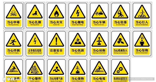 男子盗用照片虚构履历涉黄被拘，背后真相令人咋舌！