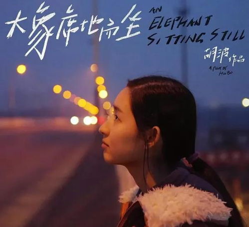 王玉雯缅怀胡波微博截图