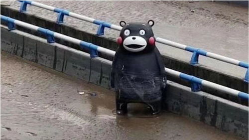 密云洪灾：老人八万现金被冲走，灾情触目惊心！