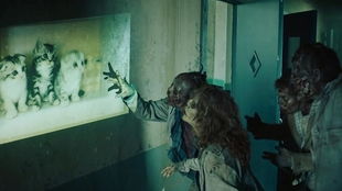 《惊变28年》：28年后的新惊悚之旅