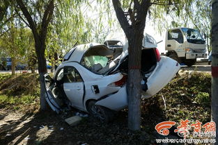 绿灯超车撞飞老人，法律责任该咋判定？