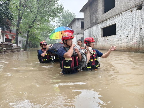 抗洪人员在水中救助他人