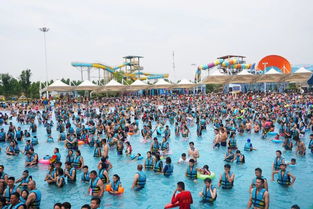 航拍镜头下的日本海啸现场，触目惊心！