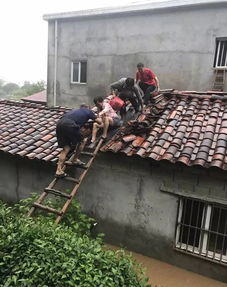 辟谣！内蒙古某地洪涝‘1死2失联’为不实消息