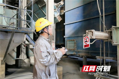 工作人员巡查设备