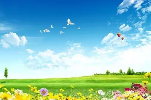 阳光洒满大地象征美好生活