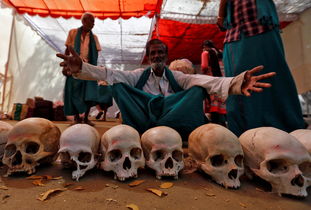 三角洲鼠鼠救助场景