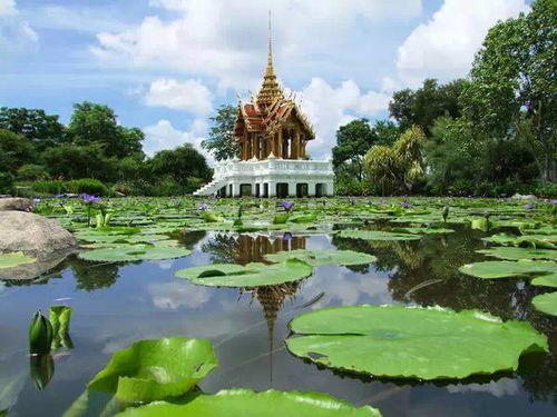 泰国风景图片