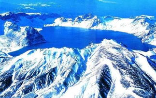 长白山游客骑马遭意外，马场停业整改背后的故事