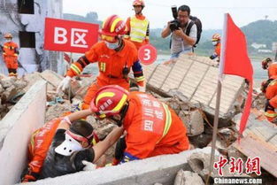 家庭防震演练场景