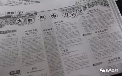 武大女生被疑学术不端，真相到底何时能查明？