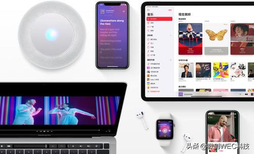 苹果设备新功能