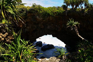 海啸突袭夏威夷！城镇街道瞬间被淹没