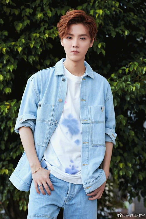 鹿晗工作照