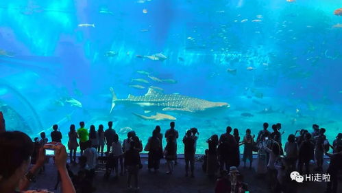 被海水环绕的小岛