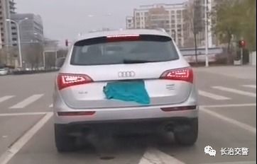 演员张俪遮挡号牌后诚恳道歉，态度值得肯定