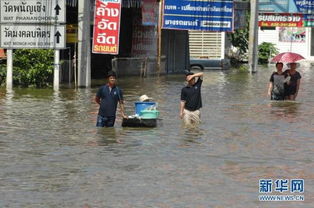 密云养老照料中心遇险，48人成功获救背后的故事