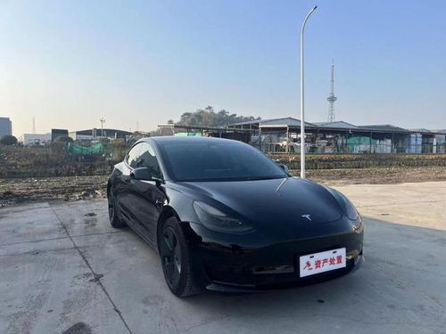 廉价版Model Y能否拯救特斯拉？