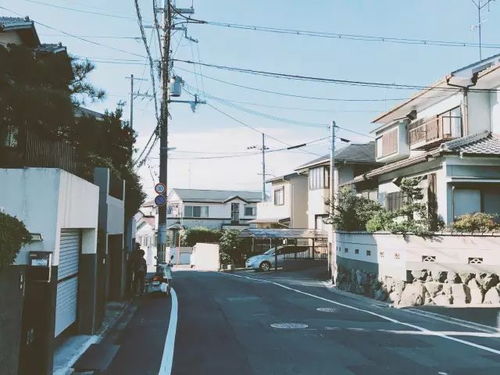 震惊！两名中国人在日本街头遇袭，现场触目惊心