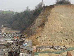 俄强震致山体崩落 海豹集体跳海逃生