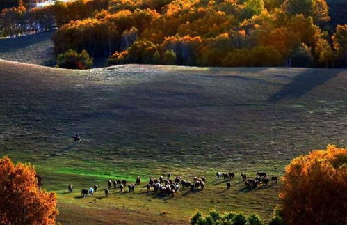 深入解读习近平生态文明思想下的生态建设