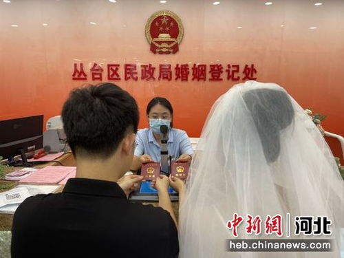 2025年上半年结婚登记达353.9万对，背后故事引人深思