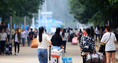 在日留学生避难纪实：安全第一，携手共渡难关！