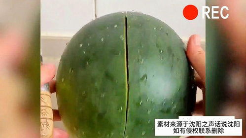 高温天西瓜切开竟喷水？背后真相令人震惊！
