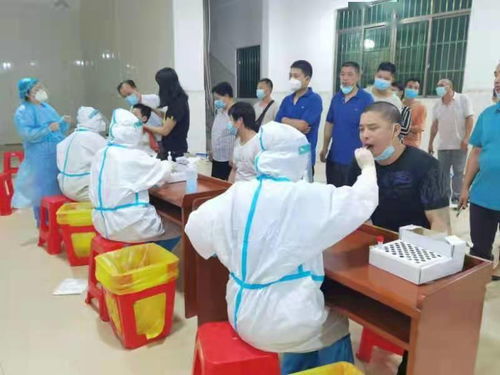 佛山某镇展开基孔肯雅热病毒免费筛查，社区医生透露关键人群