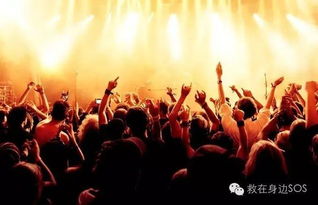 演唱会现场观众欢呼