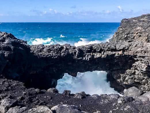 日本海啸警报下的生死避难：多人伤亡惨剧！