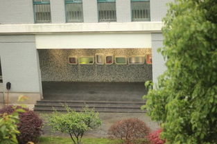 在日留学生亲历海啸惊魂时刻：紧急避难的生死抉择