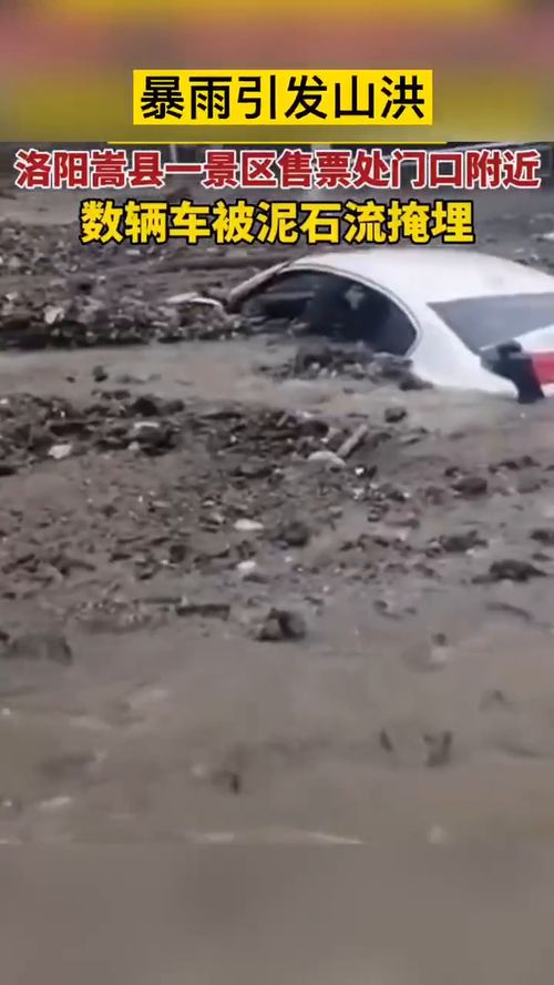 车被水泡/冲走？保险到底赔不赔？全损标准是什么？