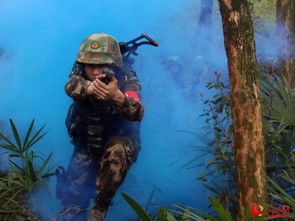 矢志强军向一流：新时代强军之路的铿锵步伐