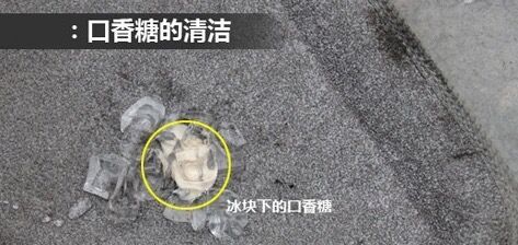 工作人员清理虫卵